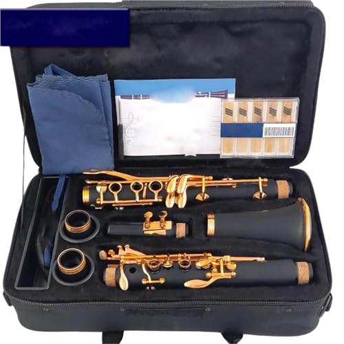 Clarinette Bb laque or instrument à vent pour vos examens - 2