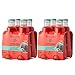 Cipriani White Peach Virgin Bellini Mix 4-6.09 fl oz (Pack of 2)