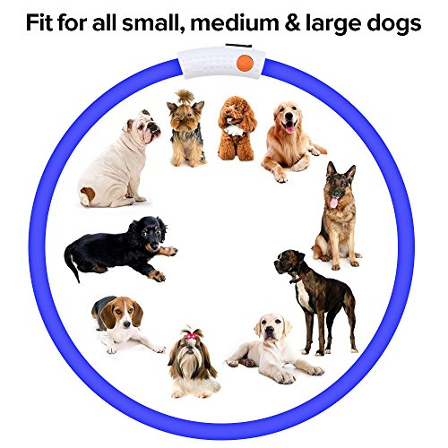 Higo Led Dog Collar, Usb Rechargeable Light Up Collars, Silicone Diy Cuttable Falshing Safety Collar For Your Small Medium Large Dogs (Blue) #TOP5