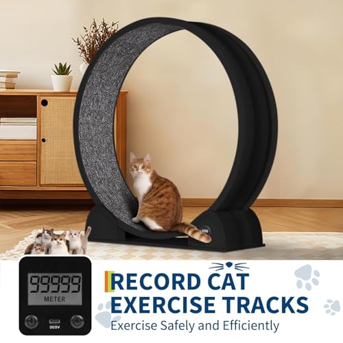 Rueda de ejercicio para gatos de madera natural extra grande y diseño silencioso premium 5