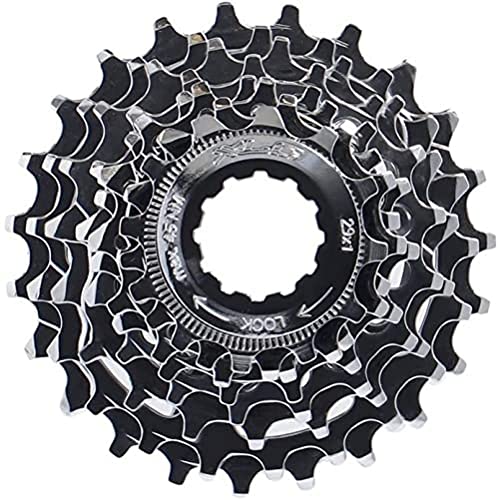 XLC CASSETTE 8V PARA CAMPAGNOLO (12-23)