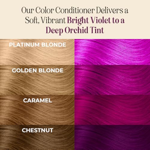 Image of INH Semi Permanent Hair Color | Color Depositing Conditioner | Garnet Violet Hair Dye | No Bleach & No Peroxide Temporary Tint for Women & Men | Vegan, Ammonia Free, & Sulfate Free | Ready to Use, 6oz