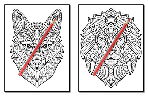 100 Animals: An Adult Coloring Book With Lions, Elephants, Owls, Horses, Dogs, Cats, And Many More! #TOP2