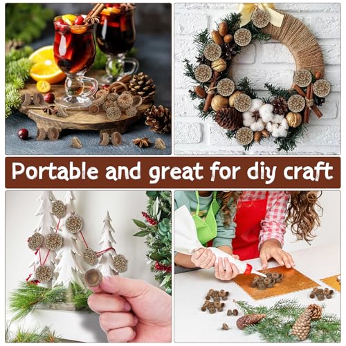 BESPORTBLE 100 piezas Cáscaras de Bellota Natural para Manualidades miniatura 3
