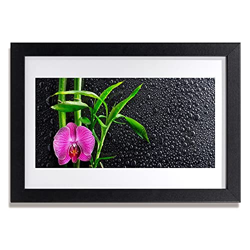 Affiche encadrée Tulup fleurs de bambou 30x20 cm pour habiller un mur vide