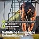 Tribulus Terrestris 90 % Saponine + Schwarze Maca 40.000 mg | Testosteron Männer – Libido Frauen – Energie, Muskelmasse & Ausdauer | Natürliches Supplement mit Zink & Vitamin B6 | 120 Kapseln – Nyvos