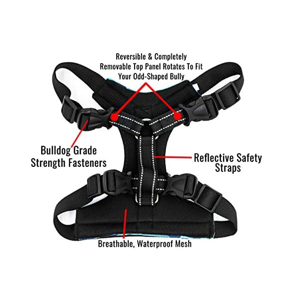 Bulldog Grade Harness for English-American-French Bulldogs – Custom Fit, No Pull, Reflective Vest Harnesses for Your Bully (Small, Frisky Flowers) Bulldog Grade Harness for English-American-French Bulldogs – Custom Fit, No Pull, Reflective Vest Harnesses for Your Bully (Small, Frisky Flowers)