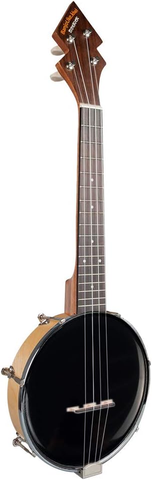 mogano con i concerti