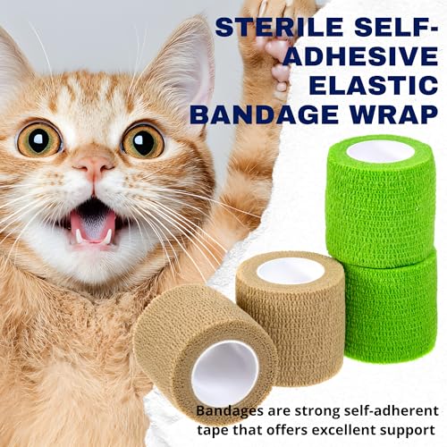 Image of Disposable Skin Stapler with 55 Preloaded Sterile Wires (Training Pack)