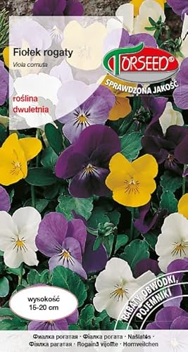 Verdica Semillas de viola cornuta con cuernos – Larga floración, belleza multicolor para camas, bordes y contenedores, ideal para exhibiciones de 15-20 cm