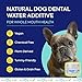 TEEF FOR LIFE Refill Packets Protektin42 Prebiotic Dental Powder for Dogs, Plant-derived, Clinically-Proven Formula Naturally Fights Bad Breath, Plaque, and Tartar, 3 Packets with 90 Servings
