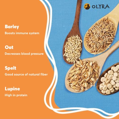 Olyra Organic Breakfast Biscuits Bundle | Yoghurt Blueberry + Hazelnut Carob | 6 Boxes Each - 12 Total | Low Sugar High Fiber Plant Based Protein Cookies #TOP4