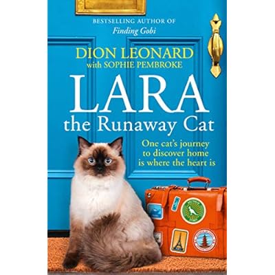 Lara The Runaway Cat: One cat&rsquo;s journey to discover home is where the heart is