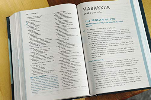 Student Bible-NIV: New International Version