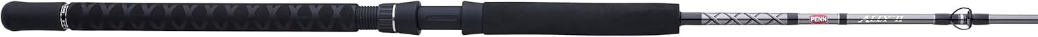 PENNPrevail II Surf Spinning Rod, 10', 2pc, Medium
