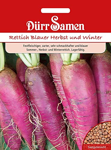 Rettichsamen Rettich Blauer Herbst und Winter Dürr Samen Winterrettich ca 200 korn Saatgut Gemüse Garten Gewächshaus Dürr Samen