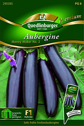 Preisvergleich Produktbild Auberginen Freiland- Money Mak - Solanum melongena QLB Premium Saatgut sonstige Gemüsesamensonstige Gemüsesamen
