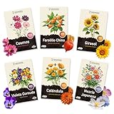 Grounding – Kit de Semillas de Flores “Balcón & Jardín” (6 sobres) – Physalis, Caléndula, Cosmos, Viola cornuta, Girasol enano, Pradera florida – Siembra fácil primavera/otoño – Calidad europea