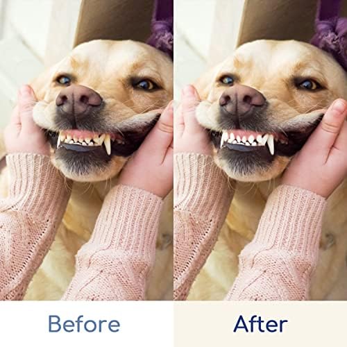 Nobleza 3 Sided Dog Toothbrush with Silicone Finger Toothbrush for Cleaning Pet Teeth, Remove Plaque and Tartar, Improve Gum Health, Suitable Large Medium Small Dog Cat and Pet