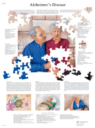 Maladies d'Alzheimer poster pour expliquer les lésions cérébrales aux familles