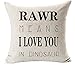 Cotton linen Quote Letters RAWR MEANS I LOVE YOU IN DINOSAUR Throw pillow case Cushion cover pillowcase for Sofa home decor 18 "X 18 "