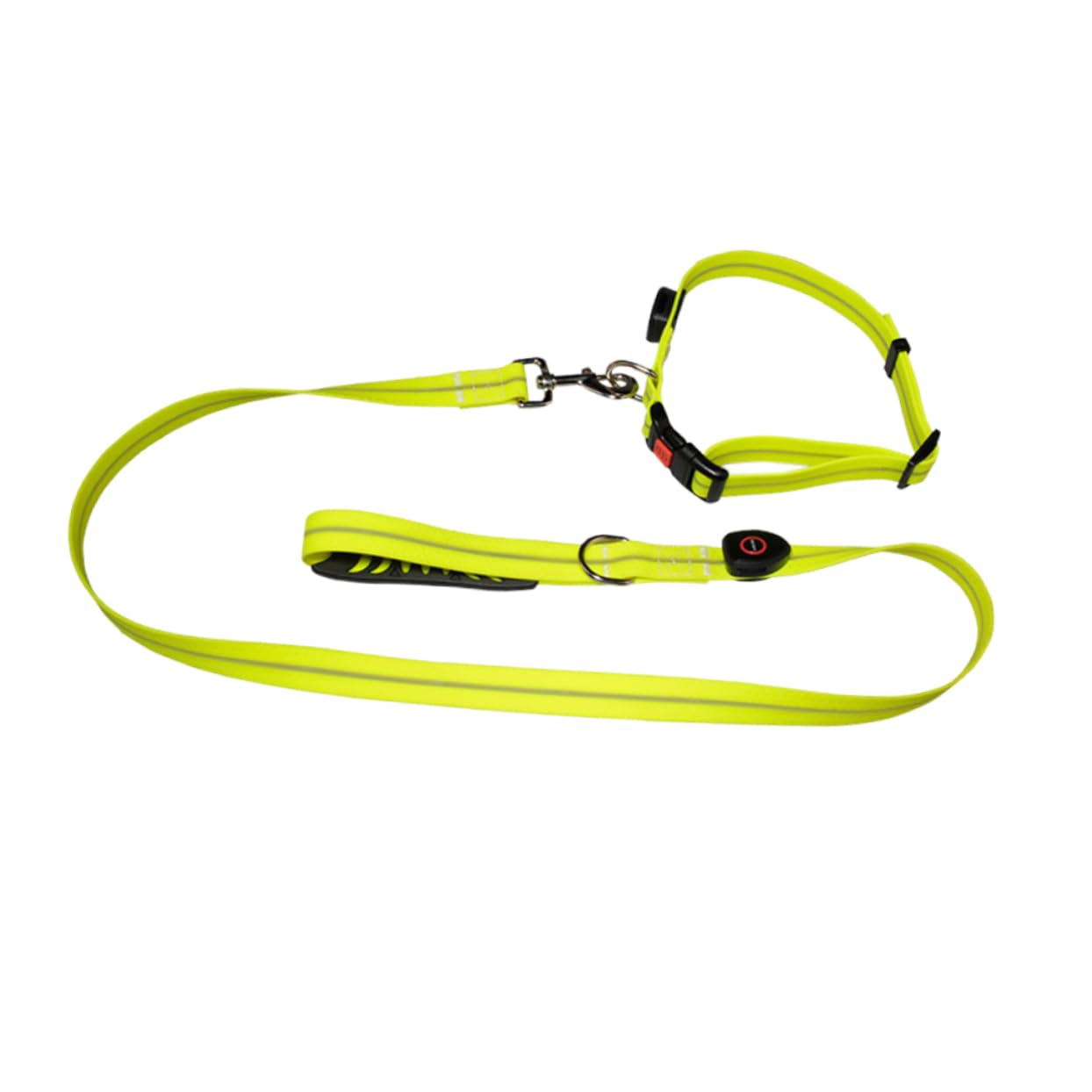 Toyvian Laisse De Dressage pour Chien Corde Lumineuse pour Promenades Nocturnes Facile à Transporter Ranger