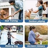 Leckerlibeutel für Hunde, Freihändige Hundeleckerlitasche mit Karabiner, Kleine Futterbeutel für das Hundetraining, Hundeleckerlitasche Automatischem Verschluss Welpen Leckerlitasche (Schwarz)