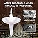 Plastic Candle Holders, Reusable, for Church Vigil, Memorial Candles, Candle Light Service, Congregational and Christmas Eve Candles, Weddings (100)
