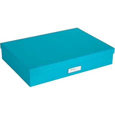 Bigso Sverker Fiberboard Legal and Art Storage Box: Secure Your Artwork and Documents