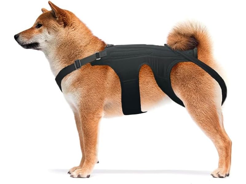 Image of NeoAlly Dog Back Brace for Dogs Arthritis, IVDD, Spinal Surgical Recovery, and Back Disease Prevention (Large)