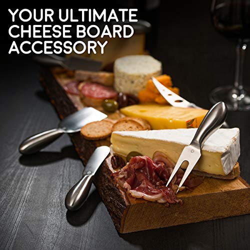 Icosa Living ICLVCHKN101SS6 Lunar 6-Piece Cheese Knife Set - Premium Stainless Steel Cheese Knives Collection thumb #5