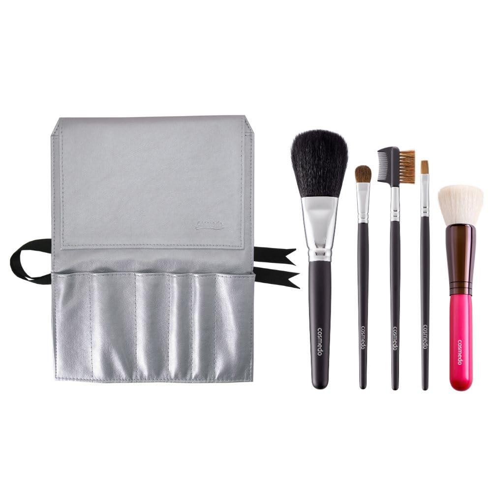 Takumi no Makeup Brush Cosmetics Hall Kumano Brush Set Starter Set Plus (5 Makeup Brushes & Brush Case Included) Silver S505-C04S