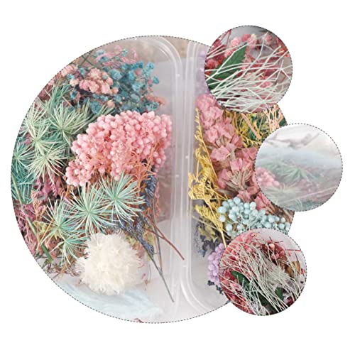 IMIKEYA Decoração De Unhas 2 Caixas Flores Secas De Aromaterapia Flor Seca Natural Decorações De Flo