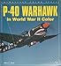 P-40 Warhawk in World War II Color (Enthusiast Color Series)