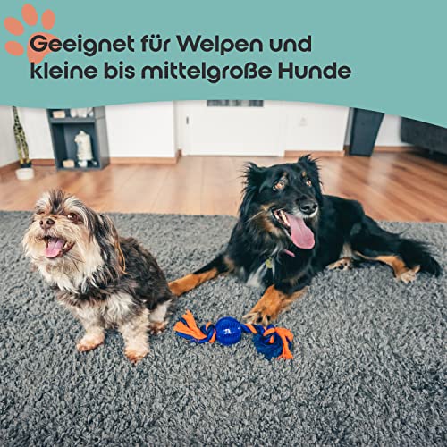 PETBEE Seilspielzeug für Hunde | Ball mit Seil | Futterball für Hunde | Seil ca. 30 cm Länge | Ball Durchmesser ca. 6,5 cm | Hundeball zur Unterstützung der Zahnpflege