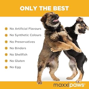   maxxiflex-Hip-Joint-Supplement-for-Adult-Dogs-120-Tablets