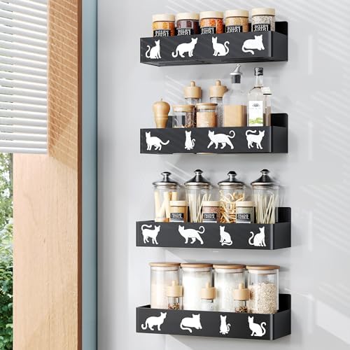 Amazon.com: Zaspaver 4 Pack Moveable Magnetic Spice Rack, Plastic Spice ...