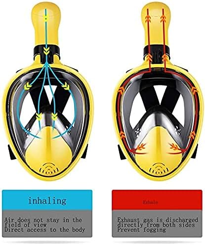 変木(龍神木)天然木根、希少、珍品、一点物❗