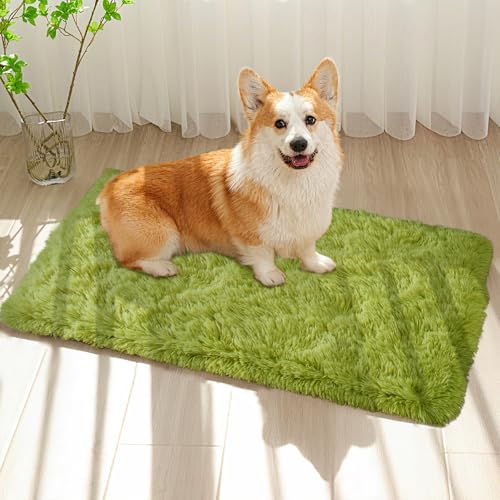 Green Rug for Bedroom, 2x3 Fluffy Area Rugs for Kids Playroom, Furry Carpet for Nursery Room, Shaggy Rug for Teen Living Room, Thick Fuzzy Plush Rug for Dorm, Cute Room Decor for Baby