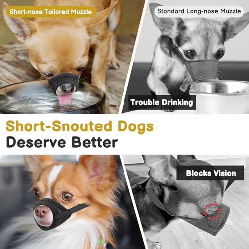 Mayerzon Mesh Muzzle for Short Snout and Small Dogs Anti-Biting, Focus on Brachycephalic Dogs like Chihuahua Yorkshire Maltese, Breathable Fabric, Opening Front, Allow Panting, for Grooming Vet Visits