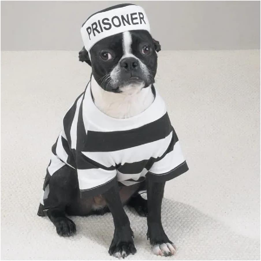 Prison Costume for Dogs Dress Your Pooch as Your Favorite Prisoner Bad Dog! (Large)