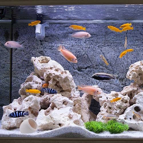 Image of RUIAN Ceramic Jar Aquarium Decorations Fish Tank Hideout Cave Cute Pot Aquarium Accessories Decor Ornaments for Cichlid, Small Fish, Betta Fish Hideout and House (White)