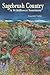 Sagebrush Country: A Wildflower Sanctuary