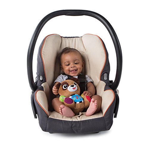 Baby Einstein Press & Play Pals - Marrom