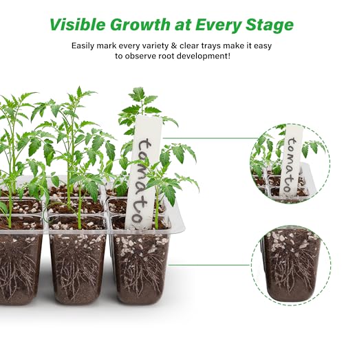 Bonviee 5-Pack Seed Starter Trays, Seed Starter Kit with Adjustable Humidity Dome and Base Indoor Greenhouse Mini Propagator for Seeds Growing Starting (12 Cells Per Tray, Green) - Image 4