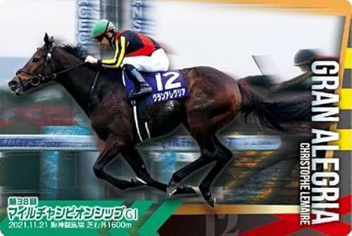 マイルチャンピオンシップ2025サイン ロイヤルファミリーサインがアツ