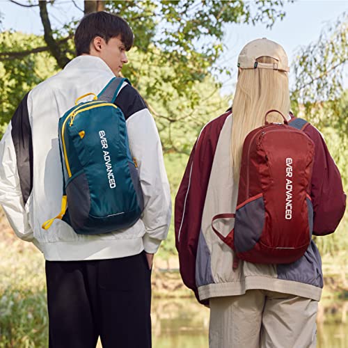 EVER ADVANCED 20L Lightweight Packable Hiking Daypack #TOP28