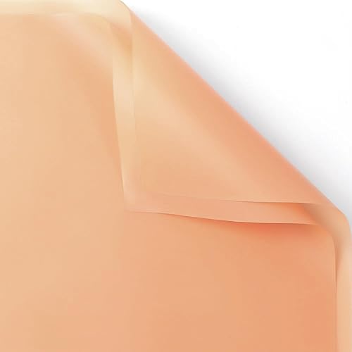 ARIFLOR 20 hojas de papel básico impermeable para ramo de flores, papel de regalo de Navidad 30185, embalaje de regalo de Navidad, embalaje de