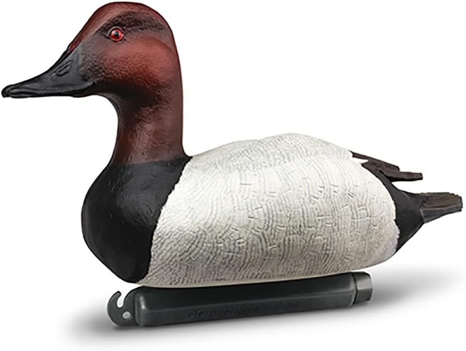 DOA Canvasback Duck Decoy Foam Filled 6 Pack