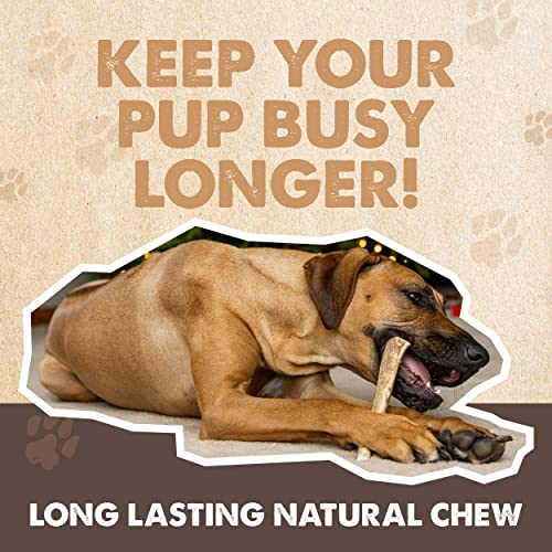 Mighty Paw Split Elk Antlers for Dogs (Sourced in The USA) | 2 Whole Large 8"+ Long Lasting Bones for Aggressive Chewers - Naturally Shed Split Deer Antler for Dogs - Low Odor Chews (Pack of 2) by Mighty Paw - Image 4